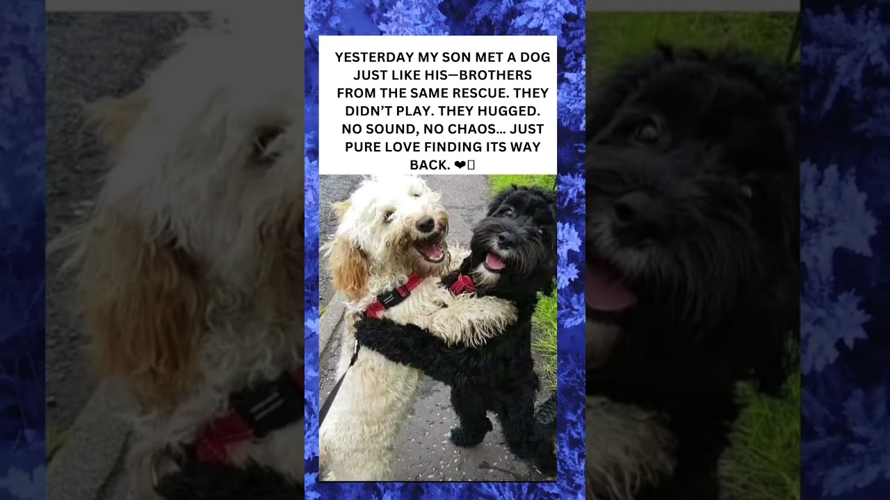 When Love Recognizes Its Own 🐾❤️