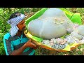 GOAT STOMACH | Goat Intestine Gravy | Cleaning & Cooking Skill | Boti Curry Recipe in Village