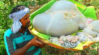 GOAT STOMACH | Goat Intestine Gravy | Cleaning &amp; Cooking Skill | Boti Curry Recipe in Village