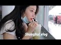 vlog22 解除隔離！申請健康碼/報復性吃上海/Shanghai vlog