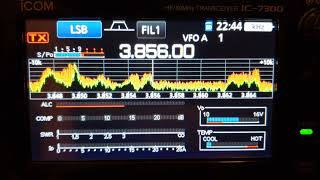 Icom IC7300 panadapter waterfall display settings for detail and weak signals