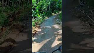 perjalanan di kampung kuring