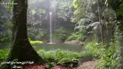 الشيخ المنشاوي:ما تيسر من سوره مريم🌺🌺🌺