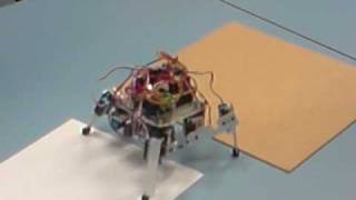 Mechatronics Project 09 - Bob2 - Creative