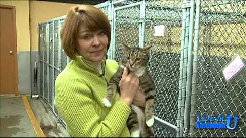 Live in Ketchikan:  Paws for a Look!