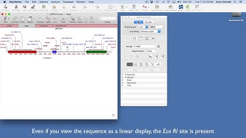 The Importance Of Topology in your sequence!
