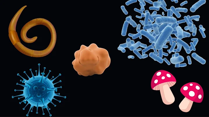 How Parasites Relate to the Five Elements | Dr. Li...