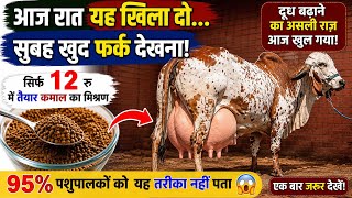 गाय-भैंस का दूध बढ़ाने का नया तरीका 2026 | सिर्फ ₹12 का असरदार मिश्रण गाय-भैंस का दूध कैसे बढ़ाएँ ?