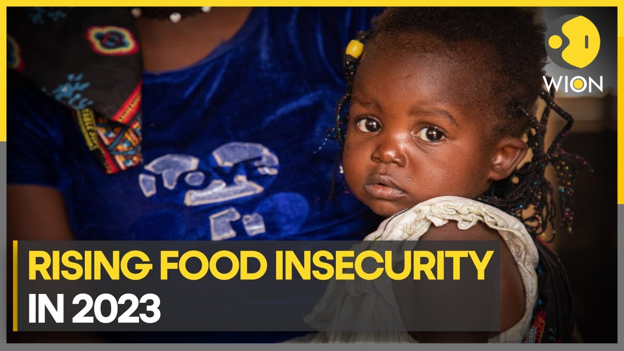 Global hunger and Food insecurity crisis | WION Climate Tracker - YouTube