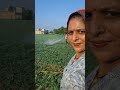 दोपहर के समय #farmingjyotivlogs #veel #reels #trading #farming #kisan #short #followme #sorts #veel