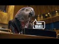 "Israele colpevole!", l'Onu come un coro di pappagalli: il video sarcastico sui social di Netanyahu