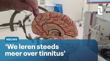 Doorbraak in behandeling tinnitus: elektrode in hersenen tegen ernstige klachten | L1 Nieuws