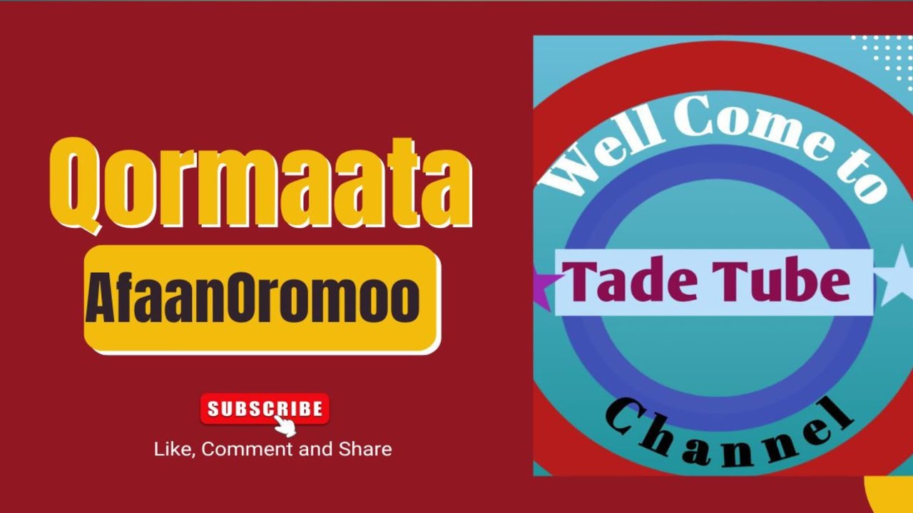 Deebii Qormaata Afaan Oromoo!