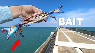 Fishing a LIVE Crab off the PIER (Fishing Experiment)