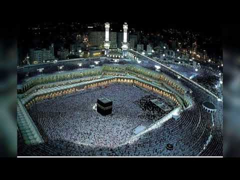 الي رحاب النبي