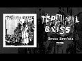 Terminal bliss  brute errata full album stream