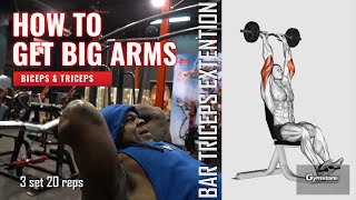 5 Bài tập để có cánh tay to khỏe từ trong ra ngoài (Bắp tay & Cơ tay sau) screenshot 1