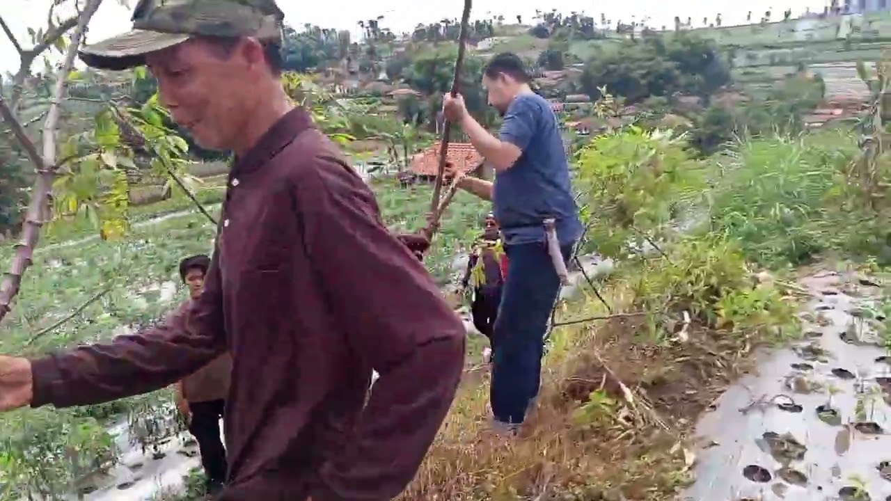 PANEN | BERSAMA | PENGURUS RW 05 | DI SUMEDANG
