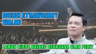 LAMUN HIRUP HAYANG BEUNGHAR ULAH PEDIT