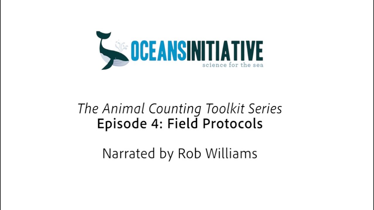 Video 4 | Animal Counting Toolkit | Field Protocols - YouTube
