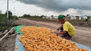 Latest News On Transmigration Residents Of Bulungan North Kalimantan Routes 3 And 4