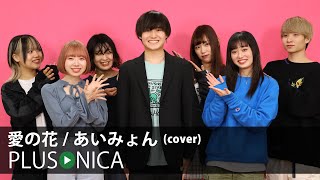 愛の花 / あいみょん (cover)