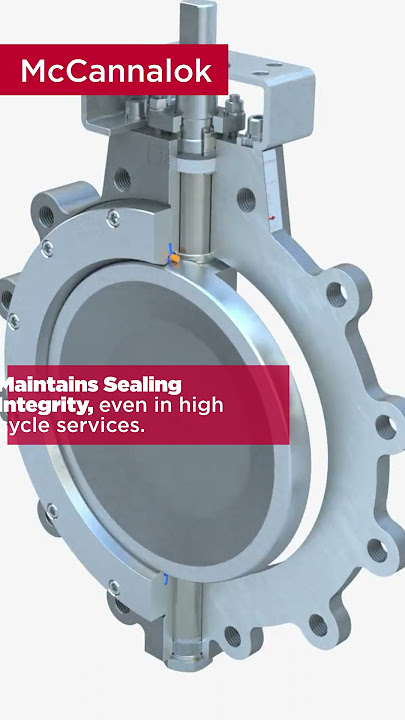 #shorts Series McCannalok | High Performance Butterfly Valve.