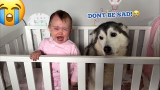 Sad Baby Refuses To Sleep Without Reading Her Husky A Book!😭. [THE CUTEST EVER!!!!]