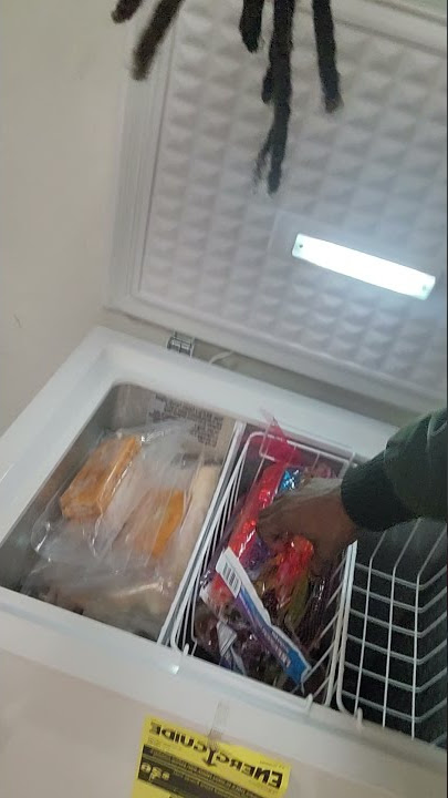 free deep freezer getting done meatman