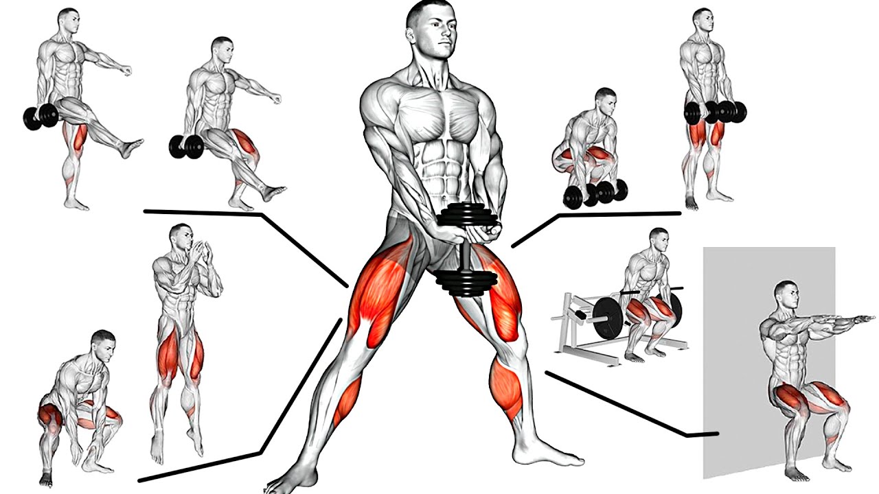 Leg muscles Workout. Leg exercises. Leg Workout. Trainings for Legs.