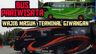 BUS PARIWISATA MASUK TERMINAL GIWANGAN YOGYA || WISATA JOGJA SEMAKIN RAMAI ‼️