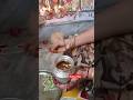Ugadi special | day in my life #ugadi