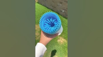 Amazon Cat Toys That Your Cat Gonna Love #shorts #cattoys #catnip