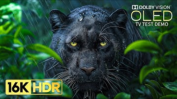 Just Wow 16K HDR Video ULTRA HD 120fps | Dolby Vision (8K/4K TV)