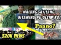 DAPAT GAWIN PARA KUMAIN NG MALUNGGAY ANG SISIW: VITAMINS TIP