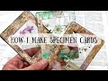 Specimen Cards DIY (Easy)