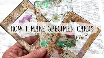 Specimen Cards DIY (Easy)