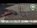 Ловушка на соболя своими руками