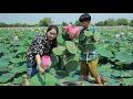 A table of lotus food harvest lotus root and pick fruit for cooking  pick lotus from lotus field