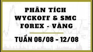 ✅ Phân Tích FOREX - VÀNG Tuần 06-12/08 Theo Phương Pháp WYCKOFF & SMC | TraderViet