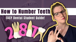 How to Number Teeth CONFIDENTLY! Palmer, FDI, and Universal Tooth Numbering Systems Made Simple
