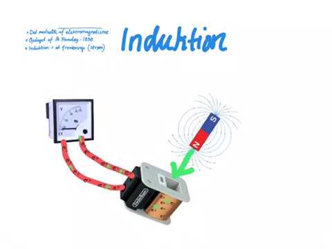 Video: Hvad er induktion i zoologi?