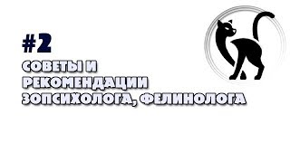 #2 Уход и содержание кошек. Советы фелинолога #2 Уход и содержание кошек. Советы фелинолога