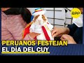 “Cuy fashion”, un concurso para elegir el mejor disfraz en el día nacional del cuy