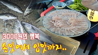 볼락을 가장한 농어 던질찌낚시 ✘농어밭에 청개비를 던졌나봐..