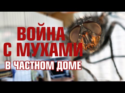 Нашествие мух! МУХИ в частном доме как с ними бороться #ДомОгород