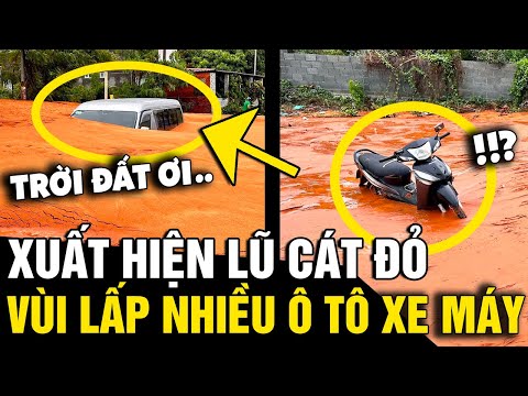 Xuất hiện 'LŨ CÁT ĐỎ' tràn về đường vùi lấp 'NHIỀU Ô TÔ' và nhà dân ở PHAN THIẾT | Tin Nhanh 3 Phút