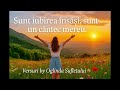 🎵 Sunt iubirea însăși, sunt un cântec mereu | Versuri by Oglinda Sufletului