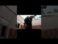 russian airsoft VANT shield loadout