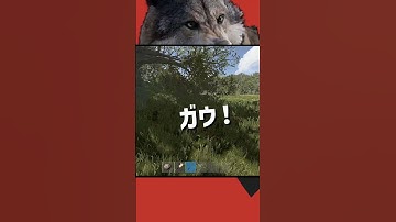 【Rust】これがRust！（はじめてのおおかみ ②）